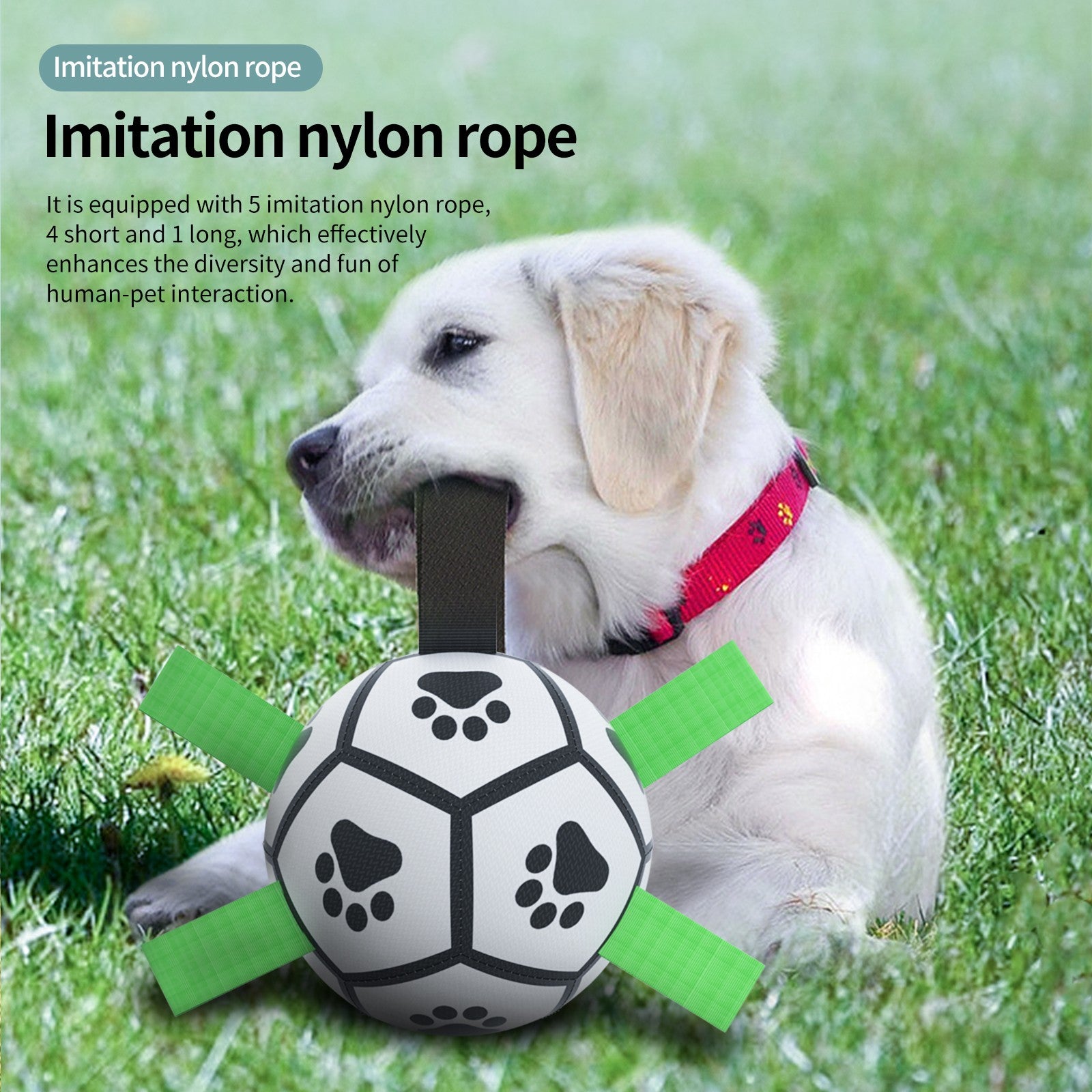 Interactive Dog Football Toy Durable Fetch & Tug Ball for Dogs